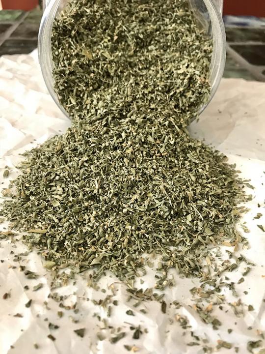 Catnip