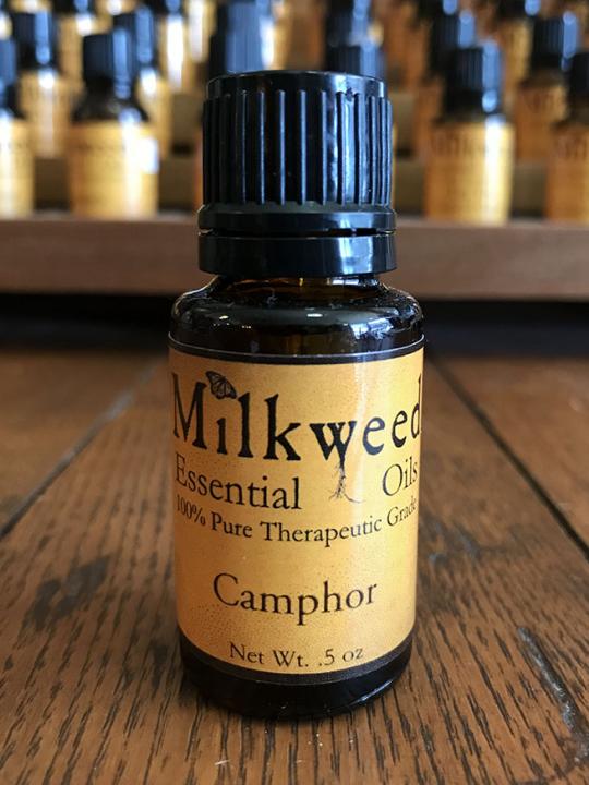 Camphor Essential Oil